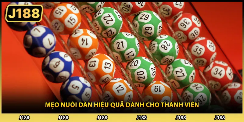 Mẹo nuôi dàn hiệu quả dành cho thành viên